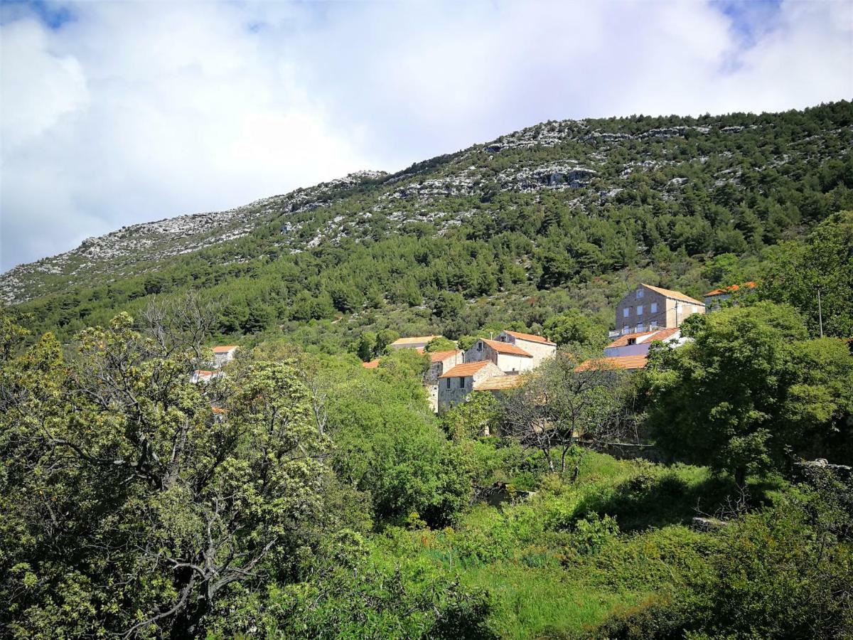 Countryside Vacation House Vitez Babino Polje Εξωτερικό φωτογραφία
