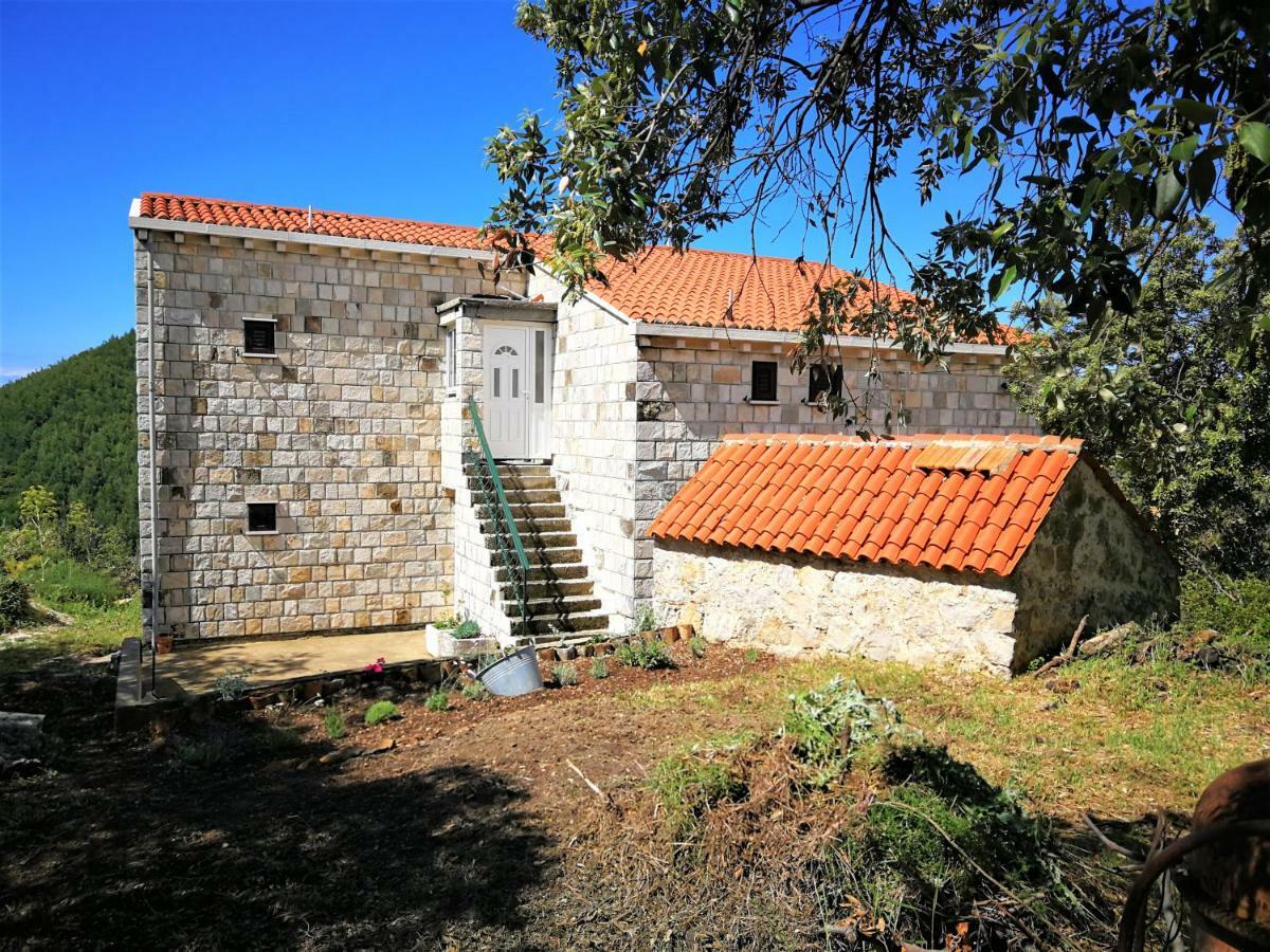 Countryside Vacation House Vitez Babino Polje Εξωτερικό φωτογραφία