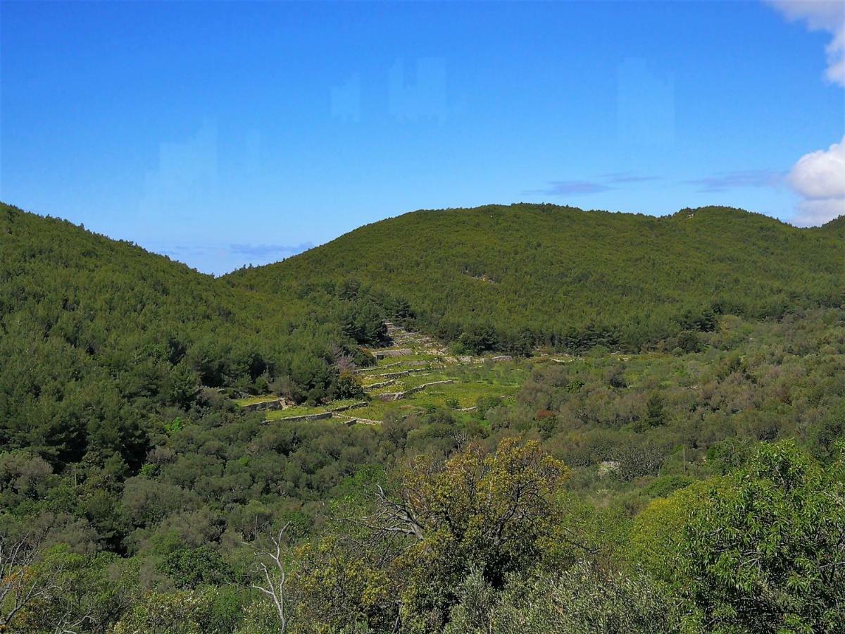 Countryside Vacation House Vitez Babino Polje Εξωτερικό φωτογραφία