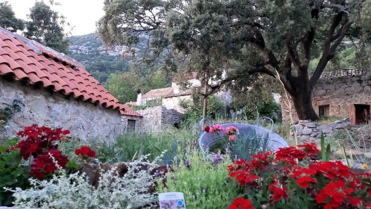 Countryside Vacation House Vitez Babino Polje Εξωτερικό φωτογραφία